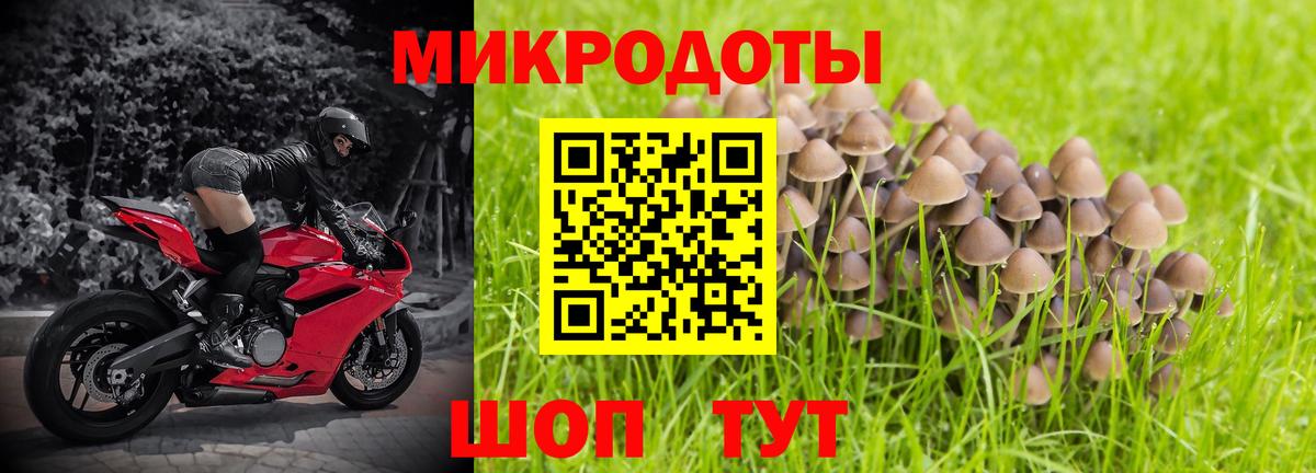 Псилоцибиновые грибы GOLDEN TEACHER Махачкала