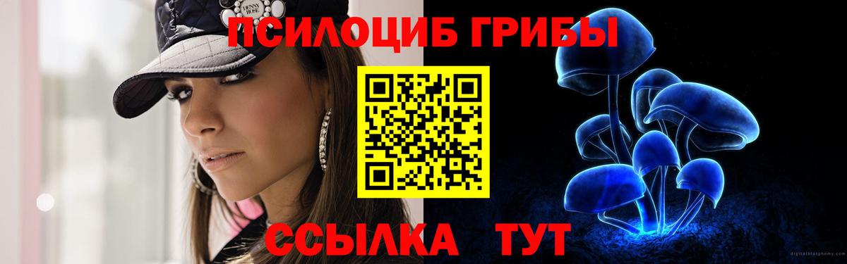 Псилоцибиновые грибы прущие грибы  Вход с VPN  Махачкала 